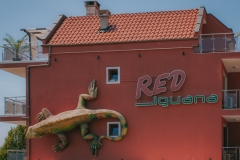 Hotel Red Iguana