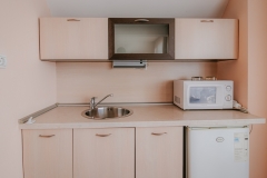 Red_Iguana-kitchen