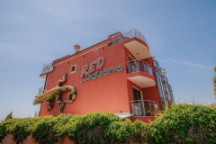 Hotel Red Iguana